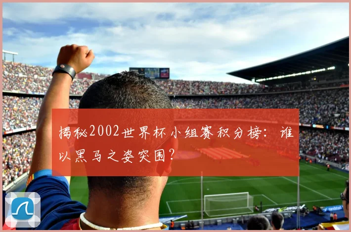 揭秘2002世界杯小组赛积分榜:谁以黑马之姿突围?