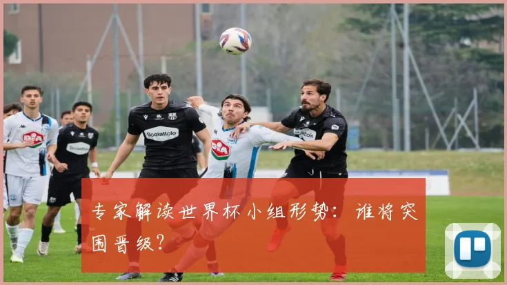 专家解读世界杯小组形势：谁将突围晋级？