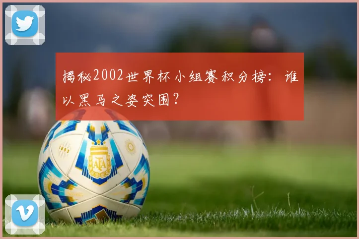 揭秘2002世界杯小组赛积分榜：谁以黑马之姿突围？