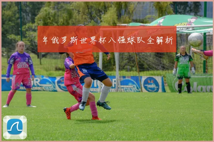 年俄罗斯世界杯八强球队全解析