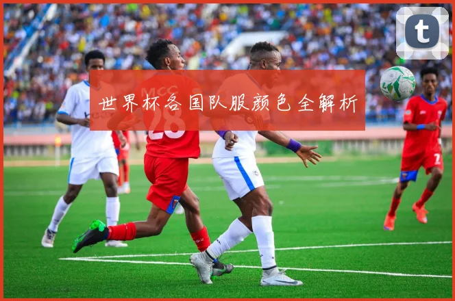 世界杯各国队服颜色全解析