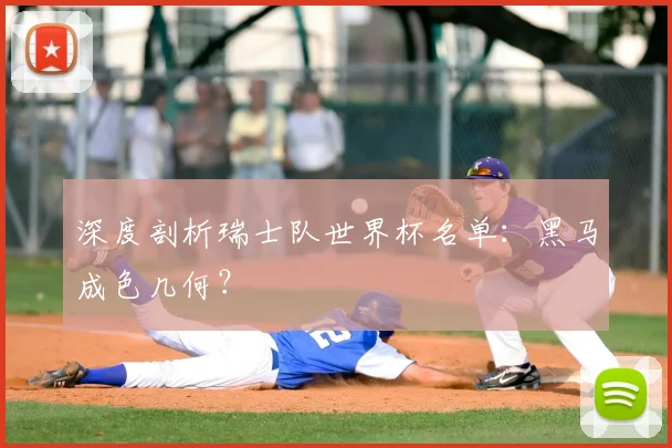 深度剖析瑞士队世界杯名单：黑马成色几何？
