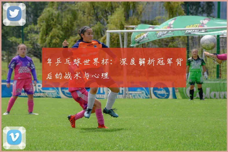 年乒乓球世界杯：深度解析冠军背后的战术与心理