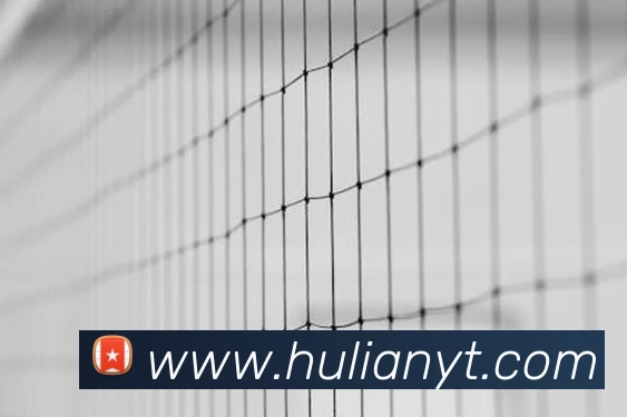 亚搏app登录入口APP 体育赛事宣传图